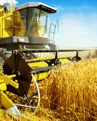 AGROCOMMODITIES  